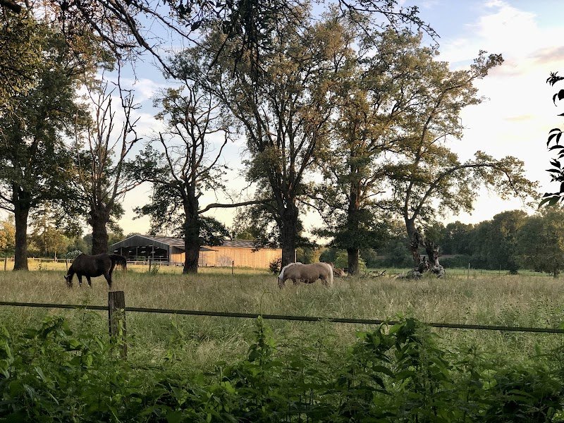 Centre Equestre Le Rio Javar : école d’équitation avec séjour équestre pour adultes et adolescents à Farges-Allichamps - photo 3