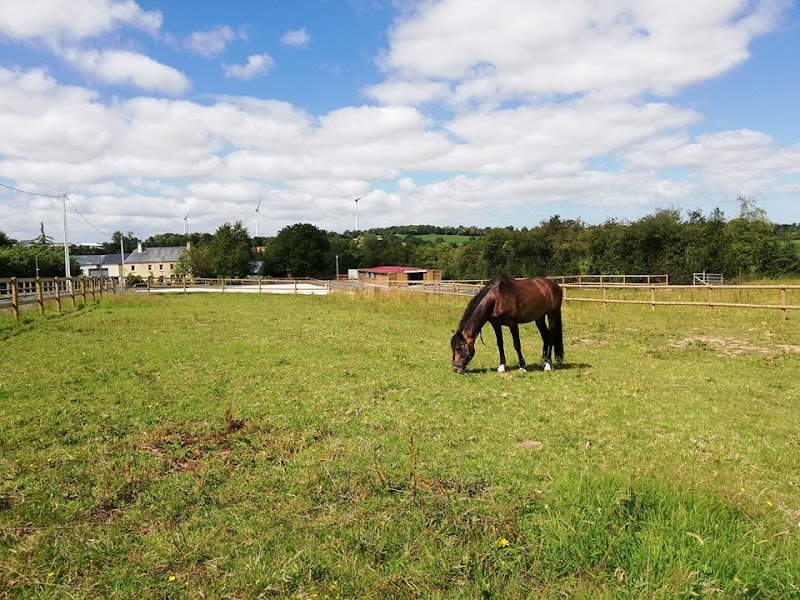 Ecurie des Rouges Terres - photo 1