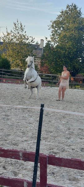 Ecurie des Rouges Terres - photo 3