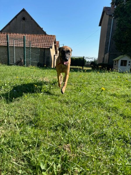 Pension d'Arcomps - photo 1