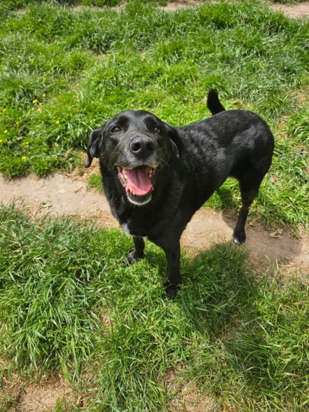 Pension d'Arcomps - photo 2