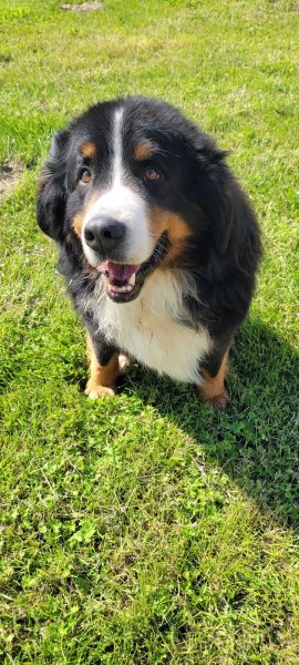 Pension d'Arcomps - photo 3