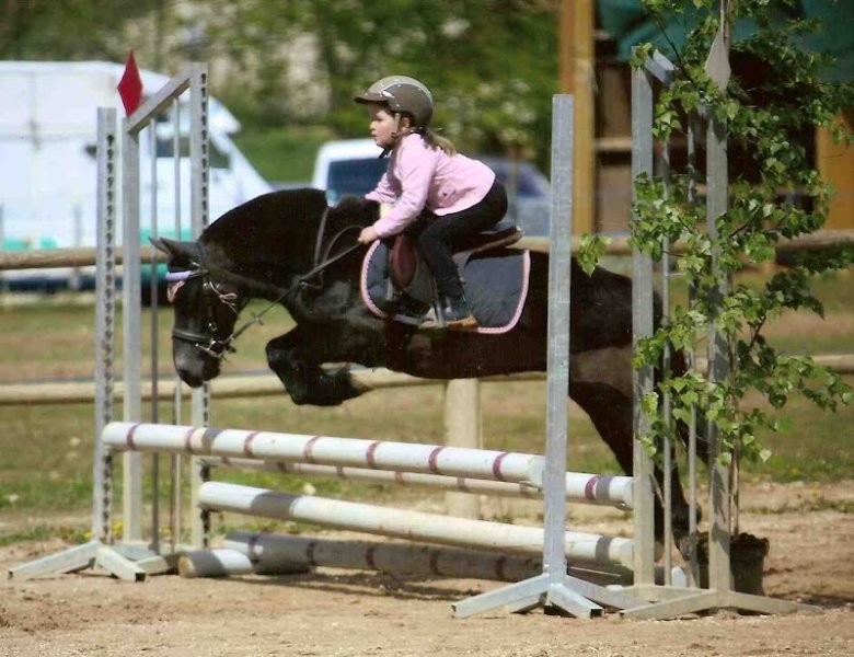 Centre Équestre de La Forest - photo 2