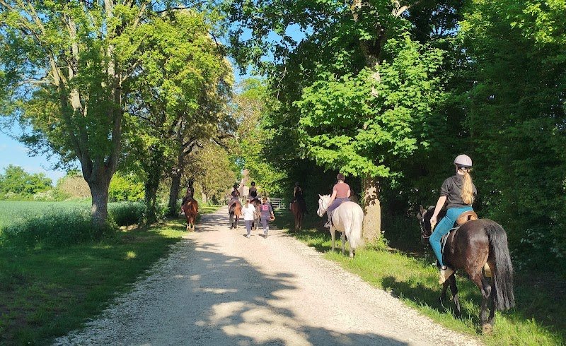 Centre Équestre de La Forest - photo 3