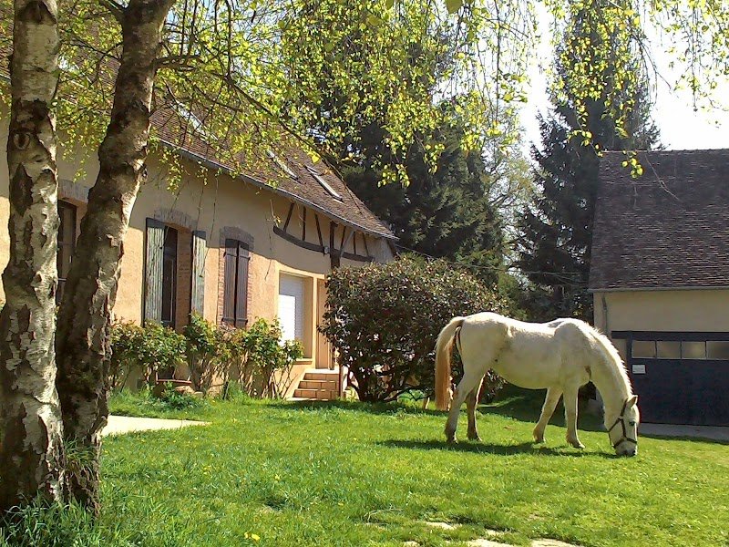 Les Ecuries d'Argent - photo 1