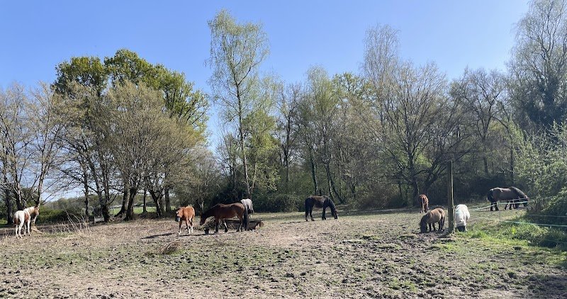 Les Ecuries d'Argent - photo 3