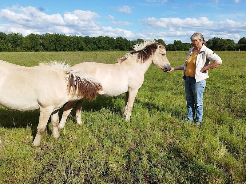 Cheval and co - photo 1