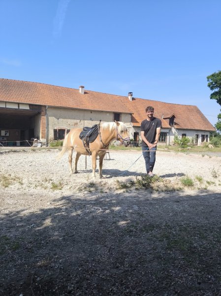 Cheval and co - photo 2