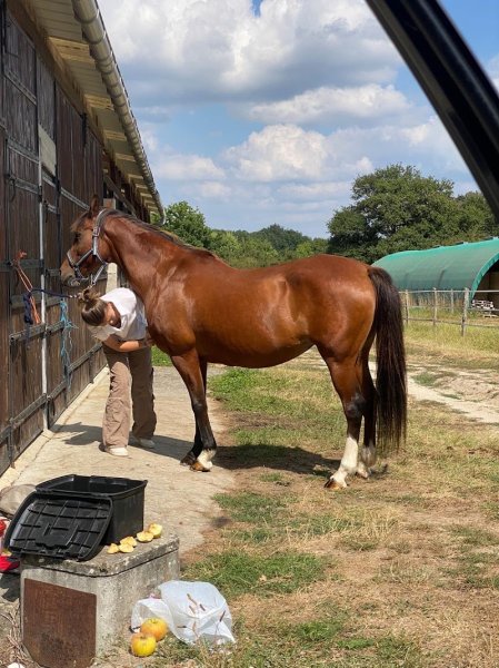 Aux Ecuries des Anglonnières - photo 1