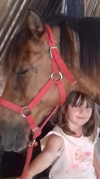 Ecuries de La Brossette