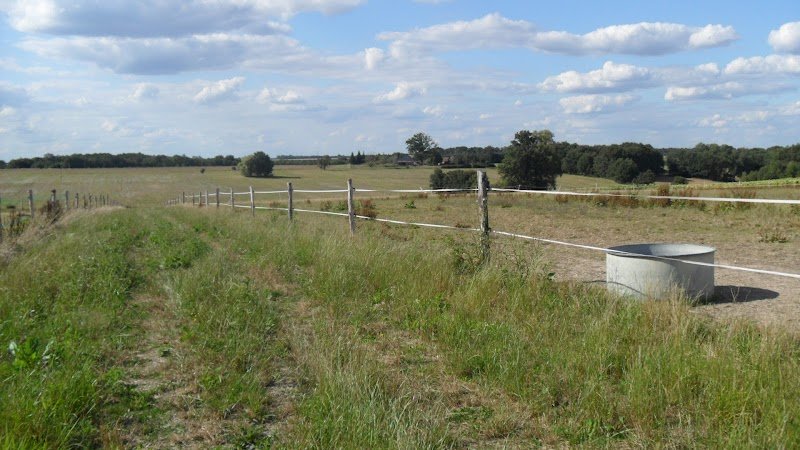 Ecurie de Mossay - photo 1