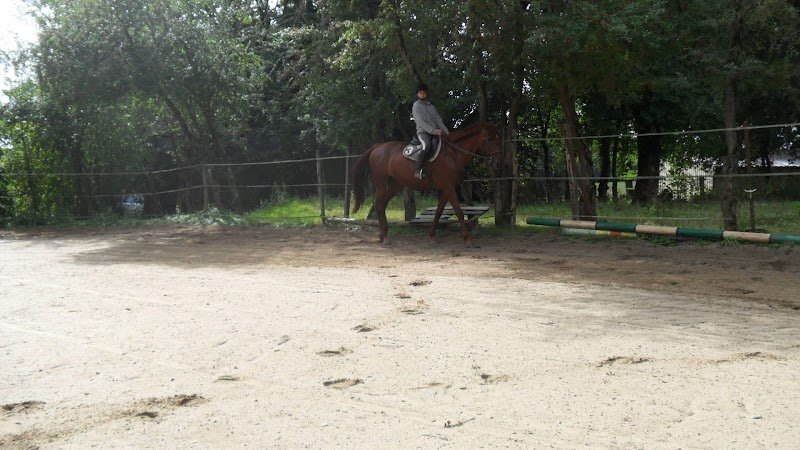 Ecurie de Mossay - photo 3