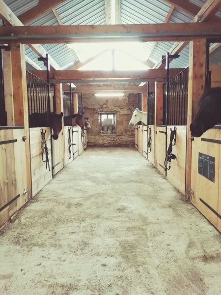 Écurie de Pouzelas - photo 2