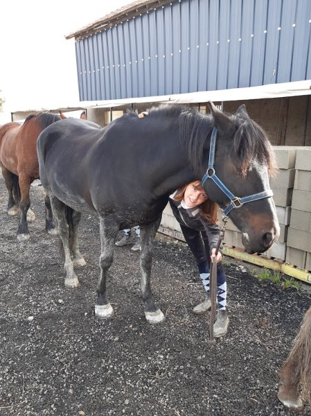 Écurie de Pouzelas - photo 3