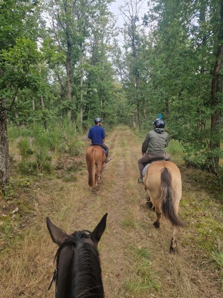 Ecuries Cordailla - photo 2