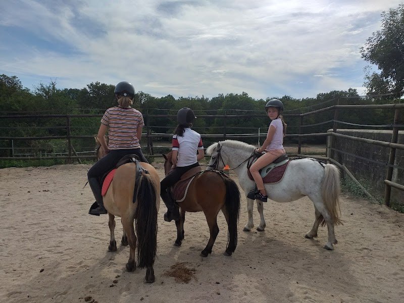 Ecuries Cordailla - photo 3