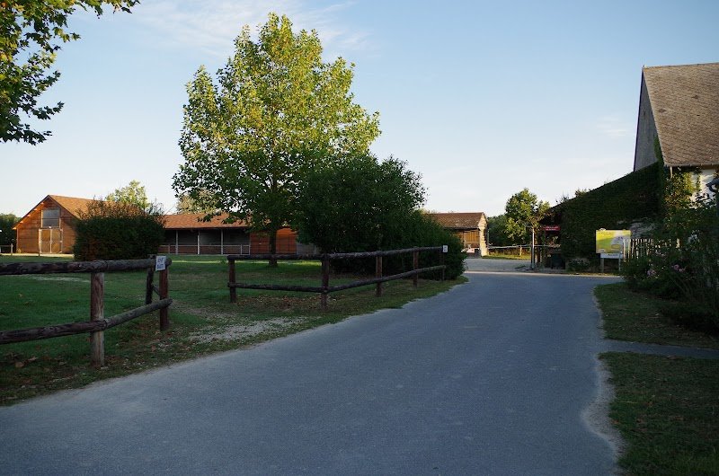 Haras du Val d'Arnon - photo 2