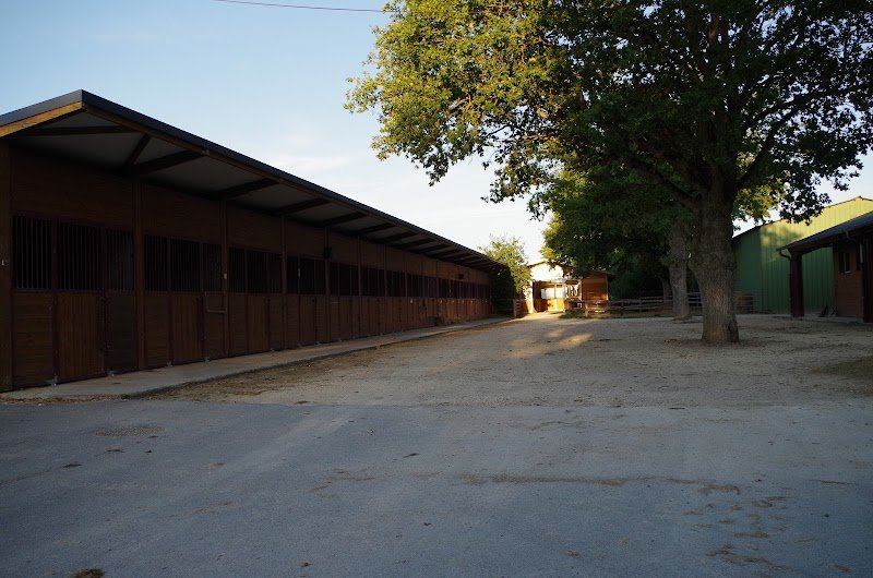 Haras du Val d'Arnon - photo 3