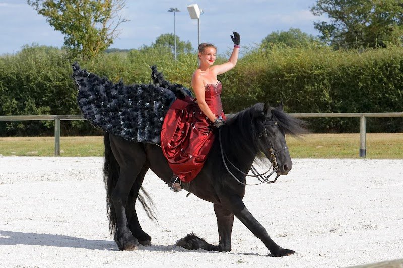 Écurie Arcadie Production