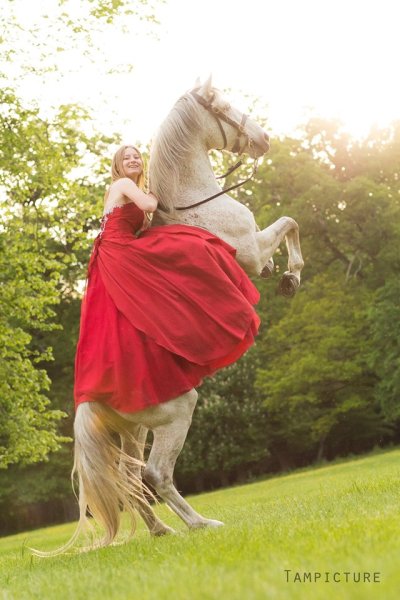 Écurie Arcadie Production - photo 2