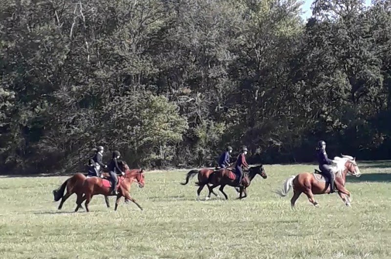 Centre équestre chez cecile - photo 1