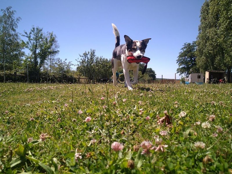 la pension d'ipsho - photo 2