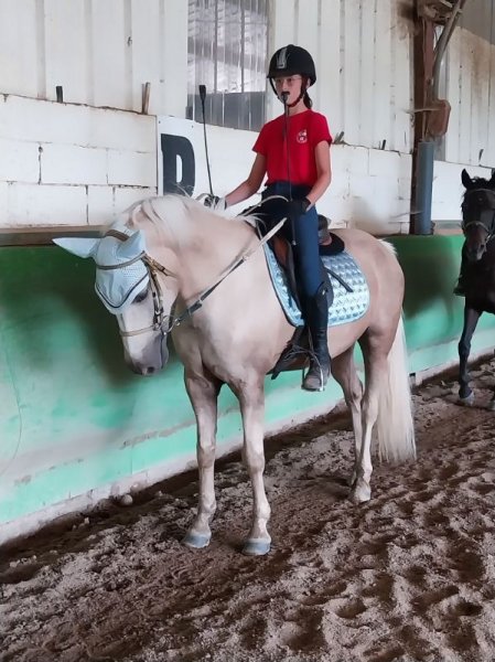 Centre équestre de Cours les Barres - photo 2