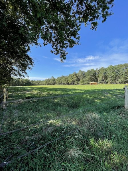 ÉCURIE DES ALOUETTES - photo 2