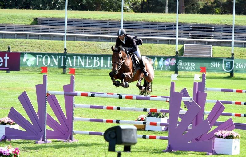 Delaunay Horse Stables