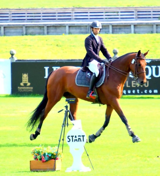 Delaunay Horse Stables - photo 3