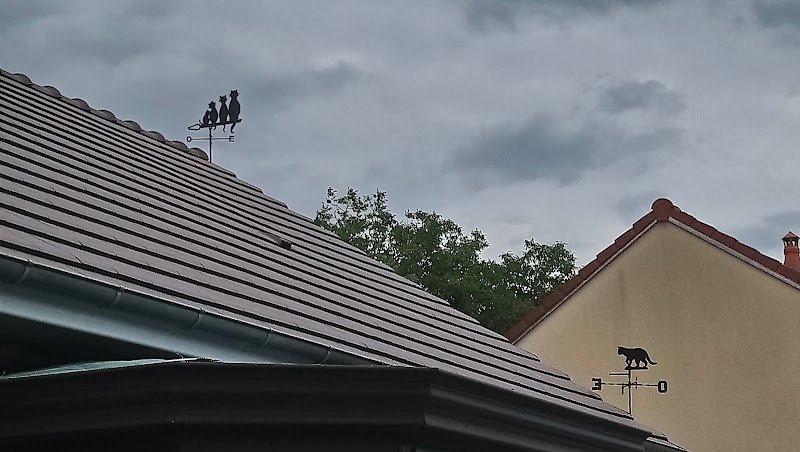 Pension féline Félix et Pupuce - photo 3