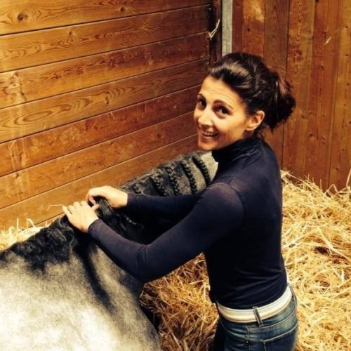 Les écuries de Grethy -- Grégory et Aurélie Berna - photo 3