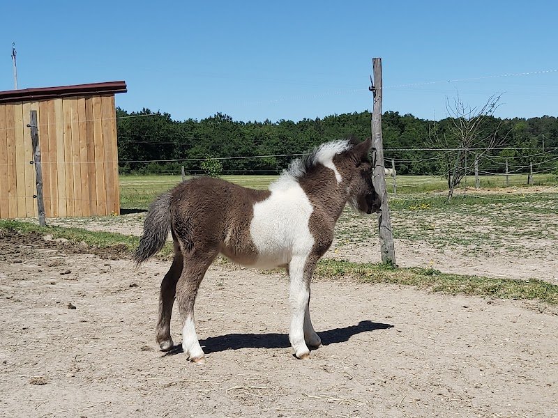 Ecurie LABCANI - photo 1