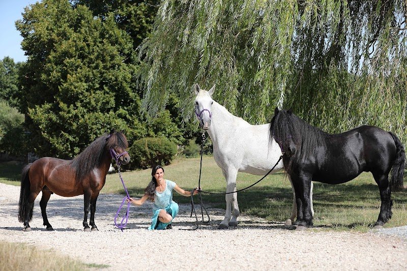 Ecurie LABCANI - photo 3