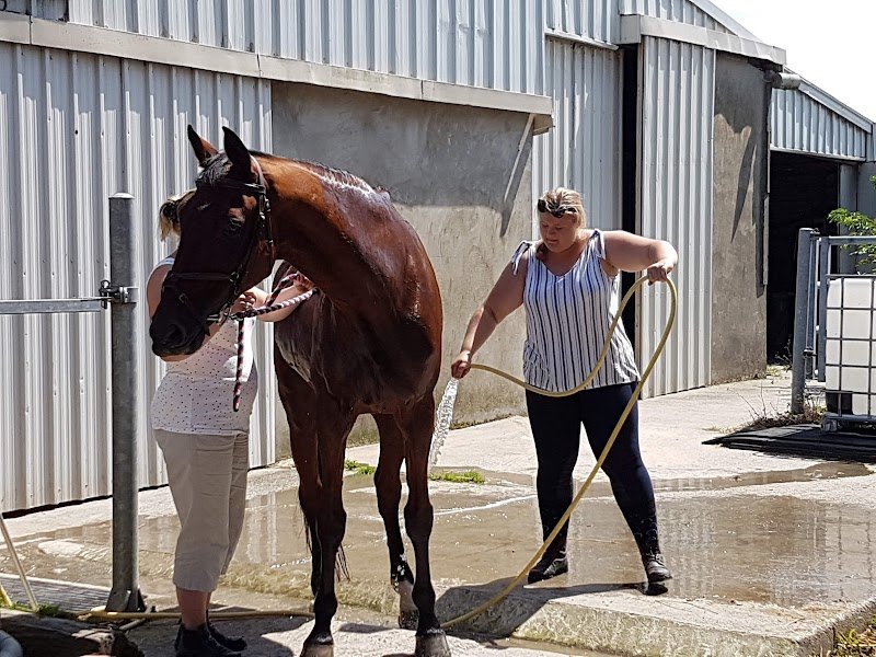 Les Ecuries du Haras Saint Georges - photo 1