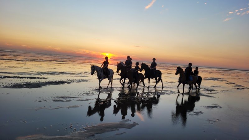 Les Ecuries du Haras Saint Georges - photo 2