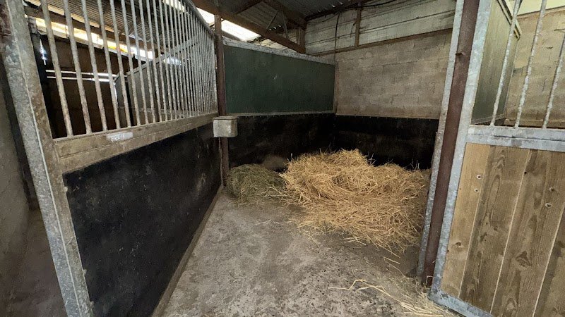 Les Ecuries du Haras Saint Georges - photo 3