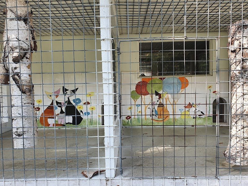 Pension des Sables - photo 3