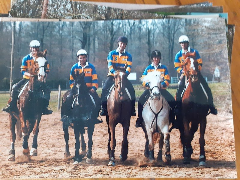 EARL PONEY CLUB DU GRES ROSE - photo 2