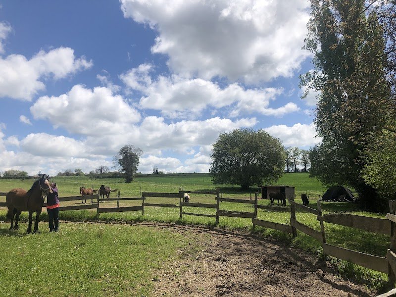 Centre équestre du Poney Fringant - photo 1