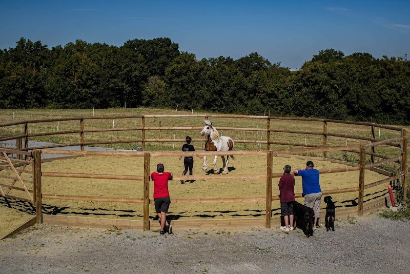 Domaine Équestre de la Lioterie - photo 1