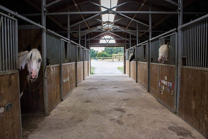 Domaine Équestre de la Lioterie - photo 2