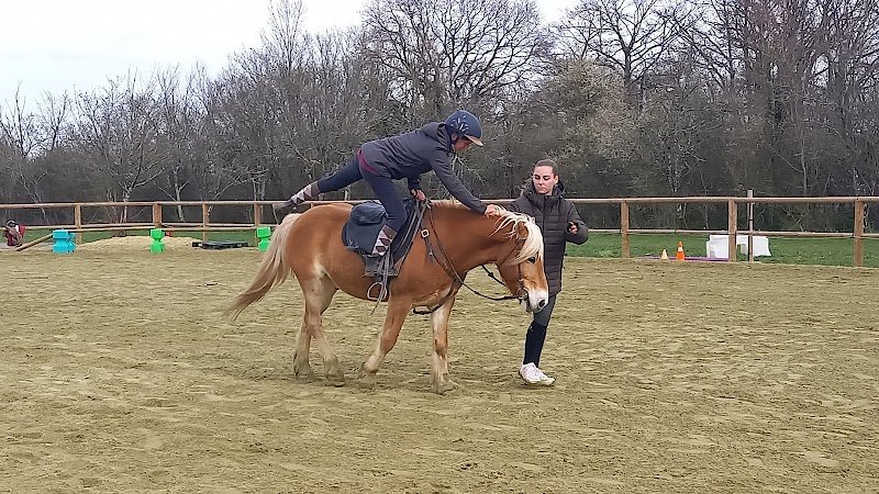 Domaine Équestre de la Lioterie - photo 3