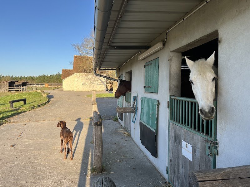 ÉCURIE MARION DEJA - photo 3