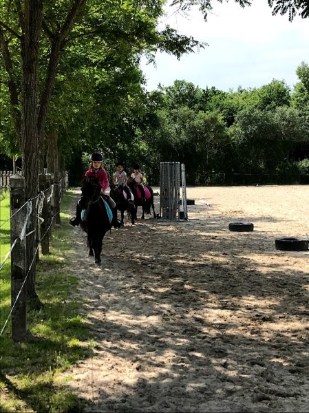 Centre Equestre des Chétifs Bois - photo 2