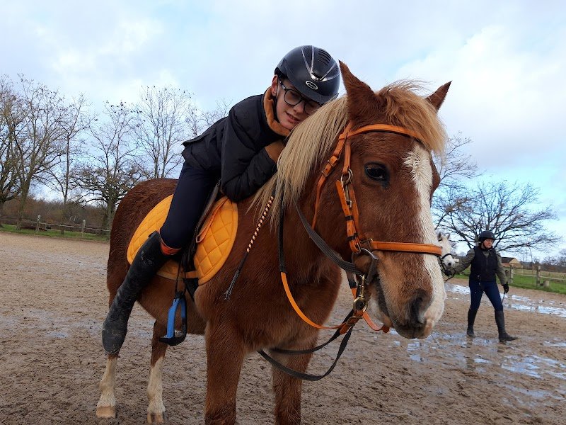 Centre Equestre des Chétifs Bois - photo 3