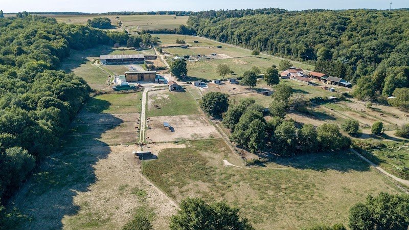 Haras de Fontaineliveau