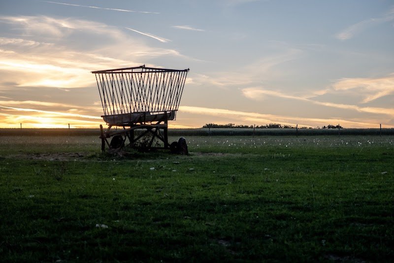 Haras de Fontaineliveau - photo 2