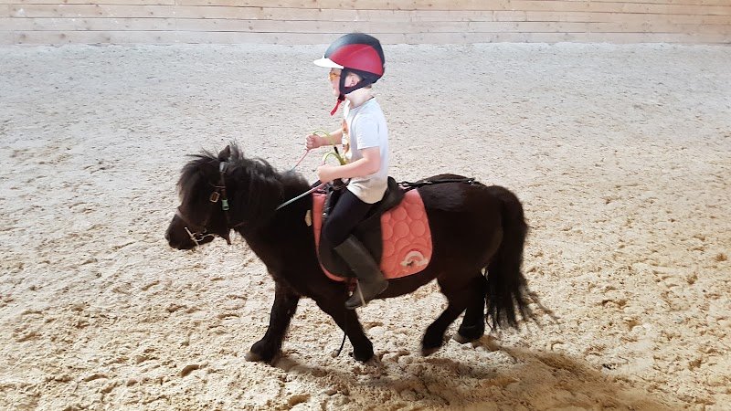 Centre équestre des 3 chênes - photo 1