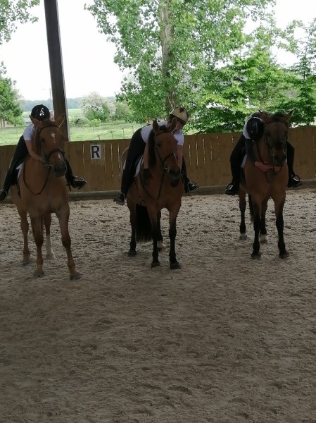Centre équestre des 3 chênes - photo 2